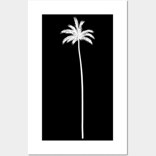 PALM Posters and Art